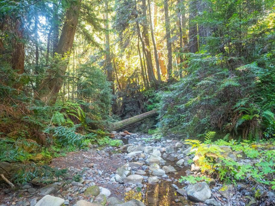 Driftwood Lodge ~ 5 Bedroom / 7 Bath ~ 30-Acre Private Estate On Hwy 1 ~ Hot Tub ~ Oceanview ~ Reunions & Retreats Walsh Landing Exteriér fotografie