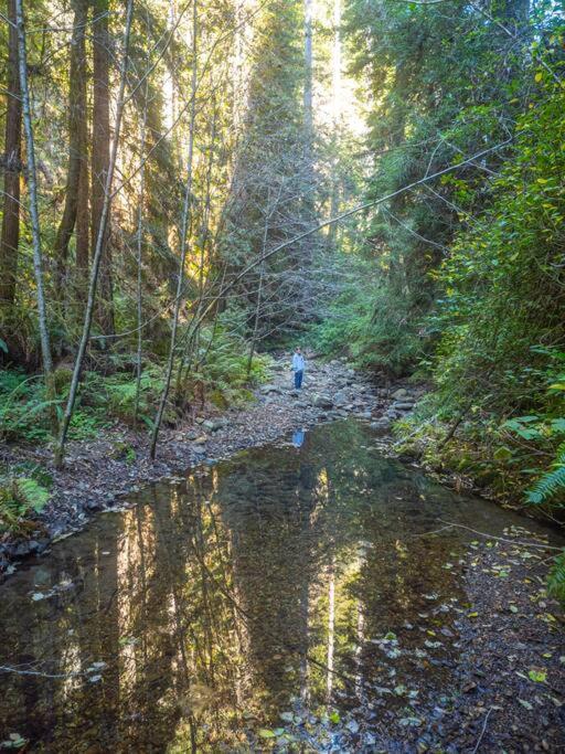 Driftwood Lodge ~ 5 Bedroom / 7 Bath ~ 30-Acre Private Estate On Hwy 1 ~ Hot Tub ~ Oceanview ~ Reunions & Retreats Walsh Landing Exteriér fotografie